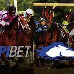 hpi bet login